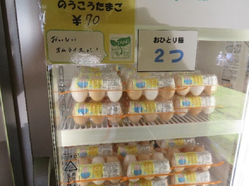 egg.jpg