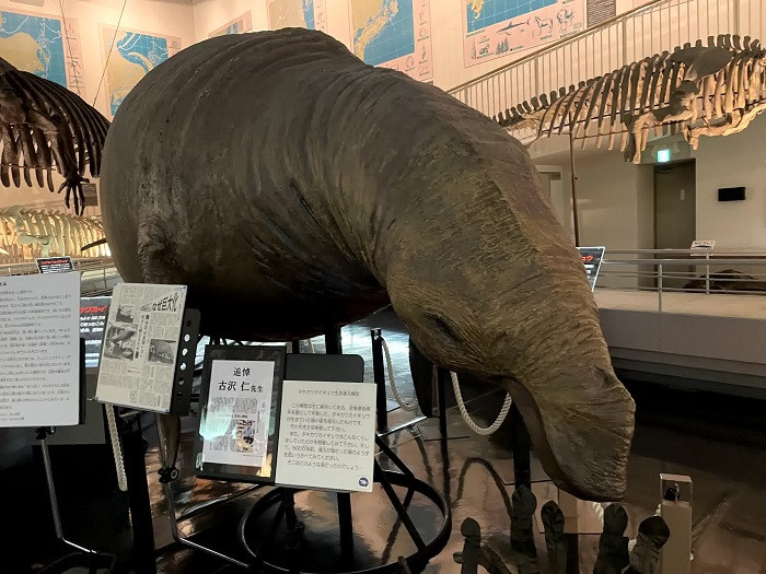 滝川で鳥になる！？～職員のAT体験記③～｜そらち・デ・ビュー - 札幌