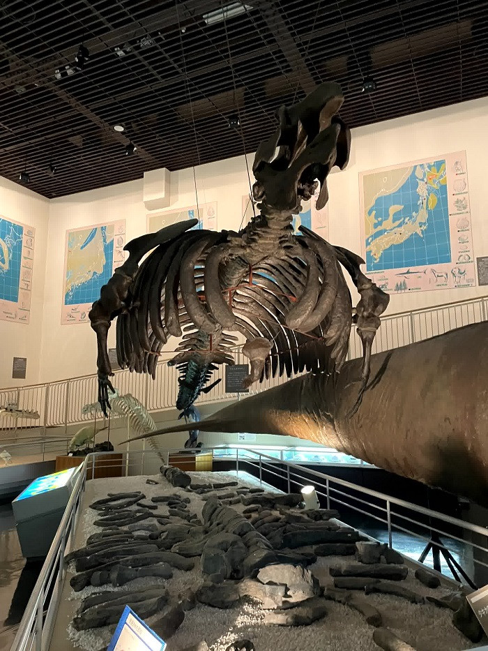 滝川で鳥になる！？～職員のAT体験記③～｜そらち・デ・ビュー - 札幌