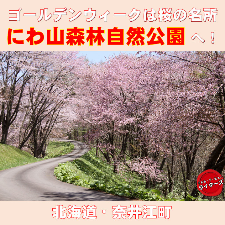 ゴールデンウイークは桜の名所「にわ山森林自然公園」へ！（北海道