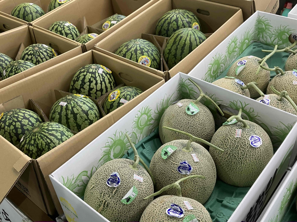 mitukiさま専用（原画）実りの花畑 ほか　8点おまとめ Amazon.co.jp: ミツバチと花の迷宮: ミツバチの目線でめぐる世界の蜜源