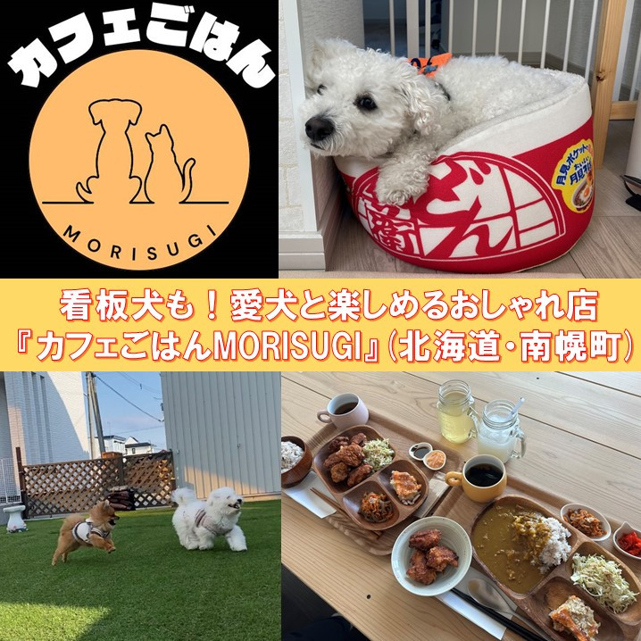 犬　ごはん 看板犬も！愛犬と楽しめるおしゃれ店『カフェごはんMORISUGI』（北海道