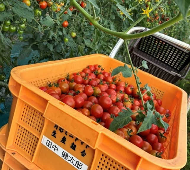 %E7%94%BB%E5%83%8F3.jpg
