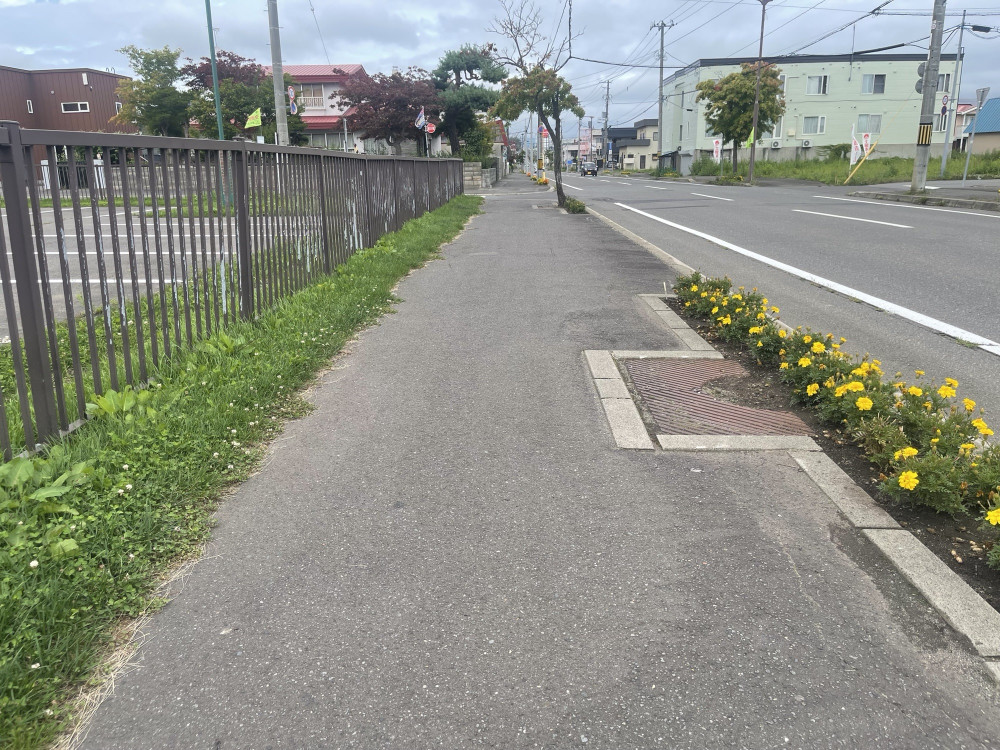 IMG_4061.jpeg