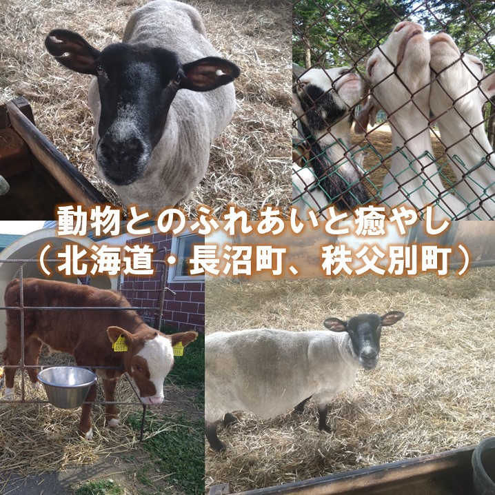 長沼町｜そらち・デ・ビュー - 札幌から日帰りで楽しめる、北海道 -