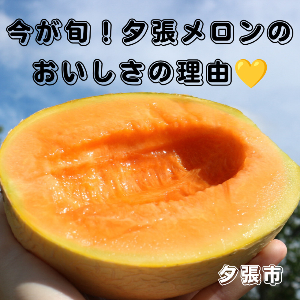 サムネイル.png