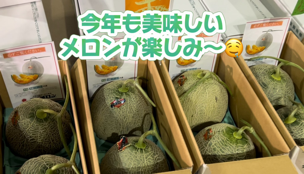落札価格にビックリ！！夕張メロンの初競りに行ってきました！｜そらち