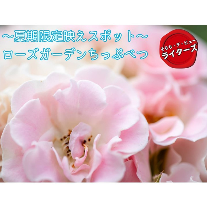 中之条ガーデンズ2025〜ローズガーデンフェア〜】【群馬県