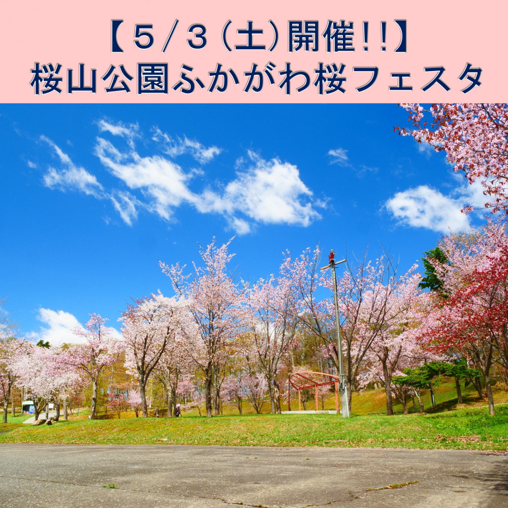 5/3（土）】桜山公園ふかがわ桜フェスタ開催します！（深川市）｜そら