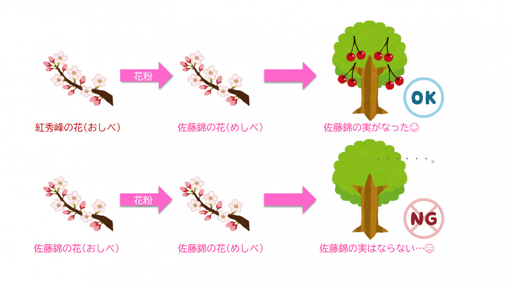99_%E8%A7%A3%E8%AA%AC%E5%9B%B3%E2%91%A0.png