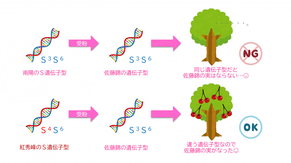 99_%E8%A7%A3%E8%AA%AC%E5%9B%B3%E2%91%A1.png