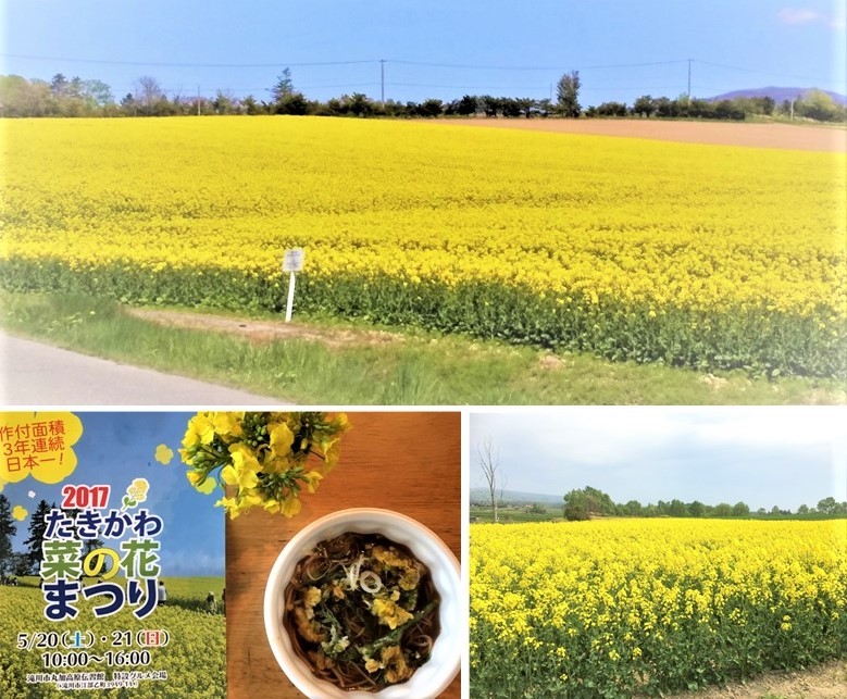 そらち・デ・ビューWebサイト向上委員会】第3回 滝川市・赤平市