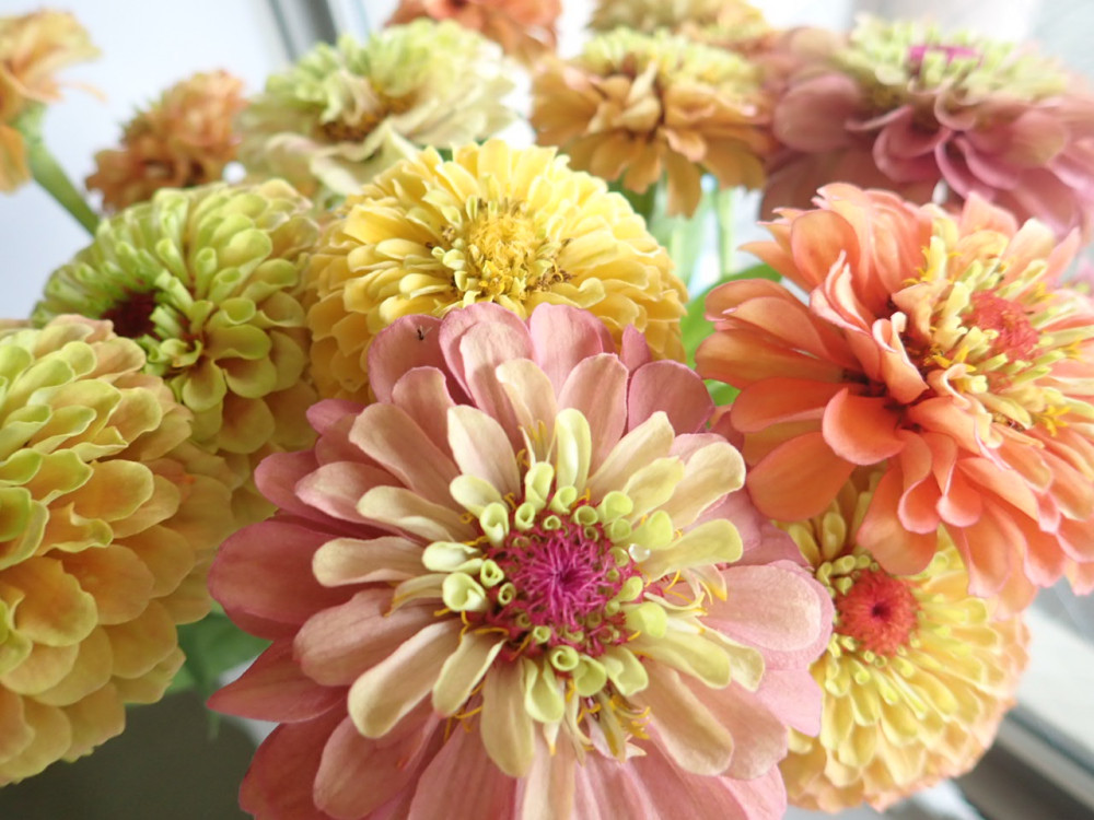 空にさく花 空に咲く花 - YouTube