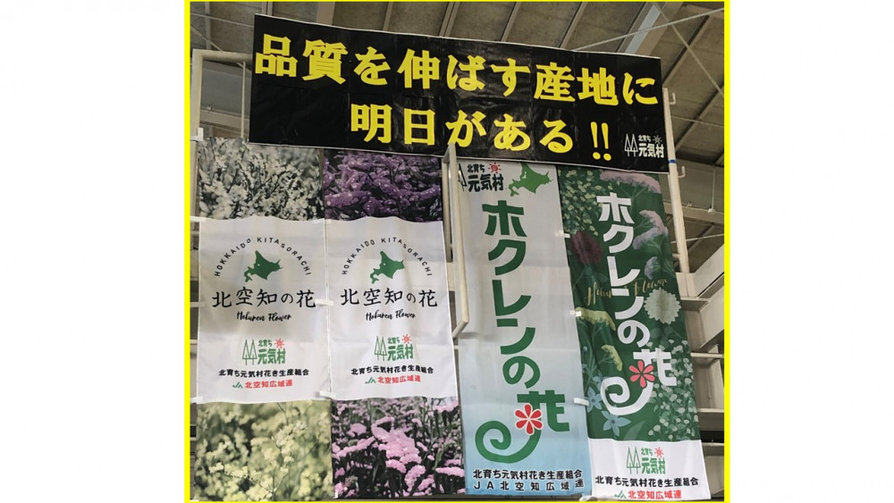 天空の花 販売額全道1位！北空知のお花の集出荷施設、スゴいんです